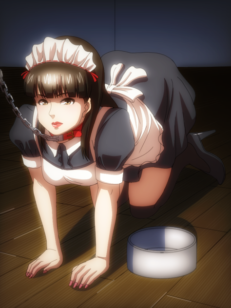 メイド飼育