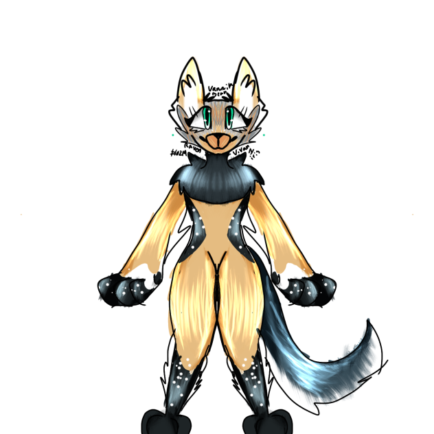 Jackal art