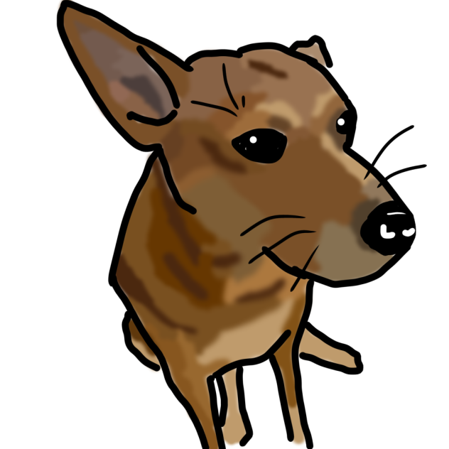 Chonky dog🥸