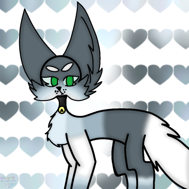 Cat ♥︎