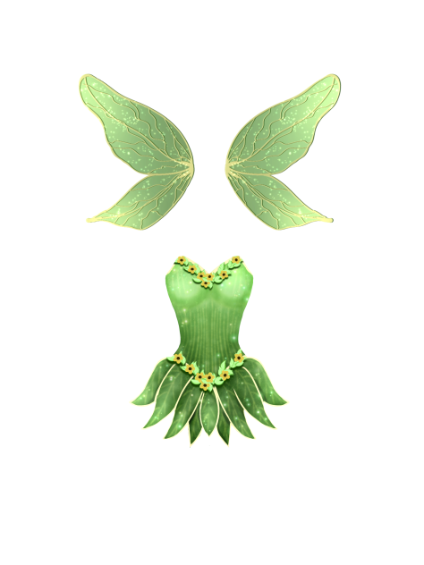 fairy costume