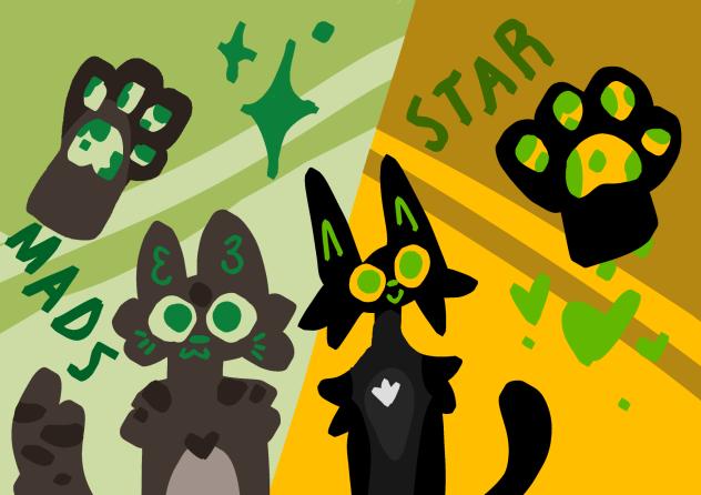 Mads+star