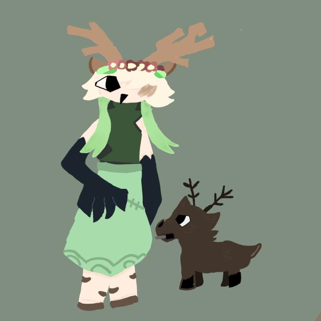 VorisDtiys