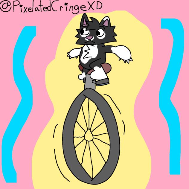 Unicycle Kitty!