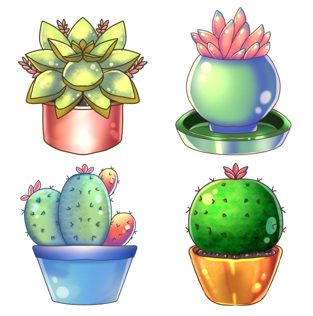 Mini Cactus