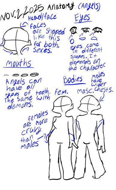 Angel anatomy