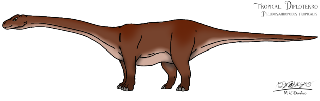 Tropical Diploterro male