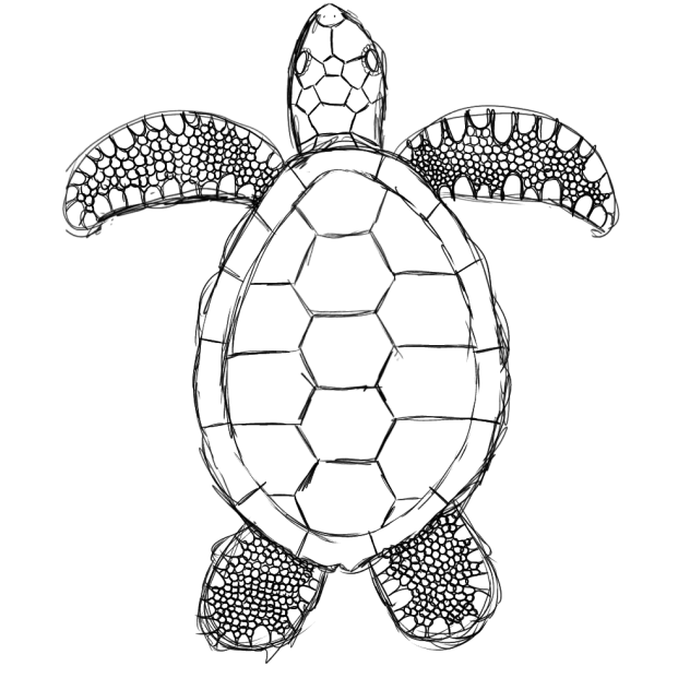 WIP (Turtle)
