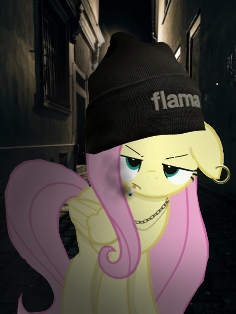 my littel pony wtf 2.