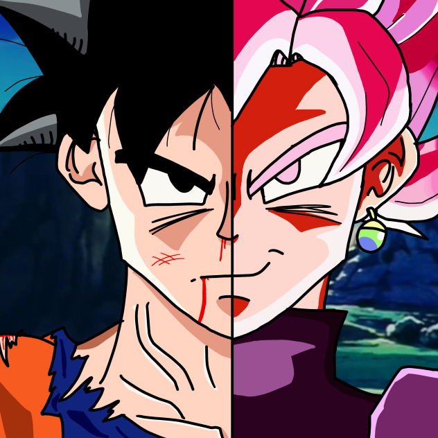 Goku vs goku black