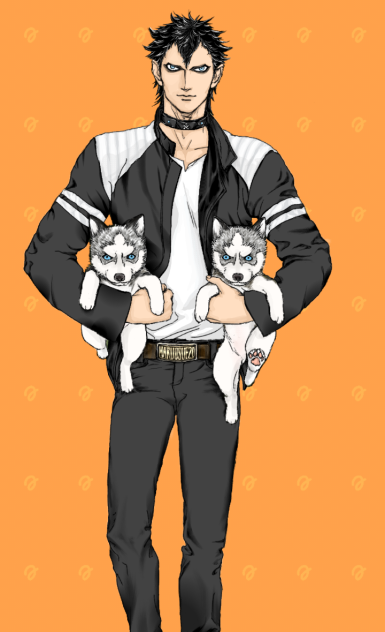 Siberian husky Brothers
