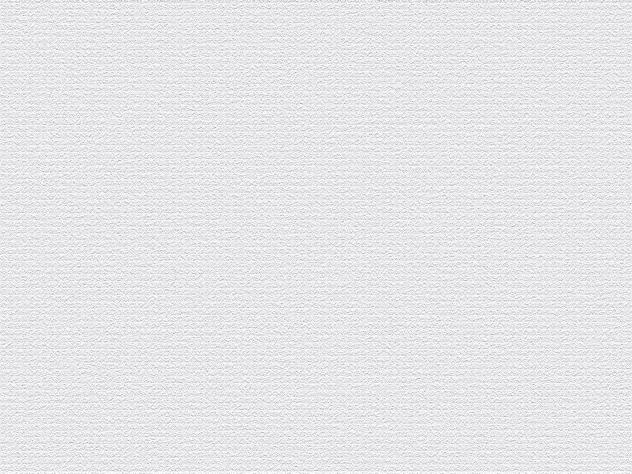 IBM4516 canvas texture a2