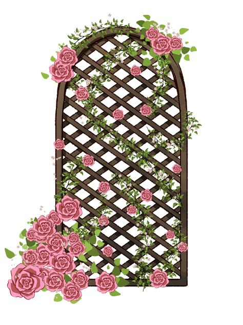 Rose  Garden Screen