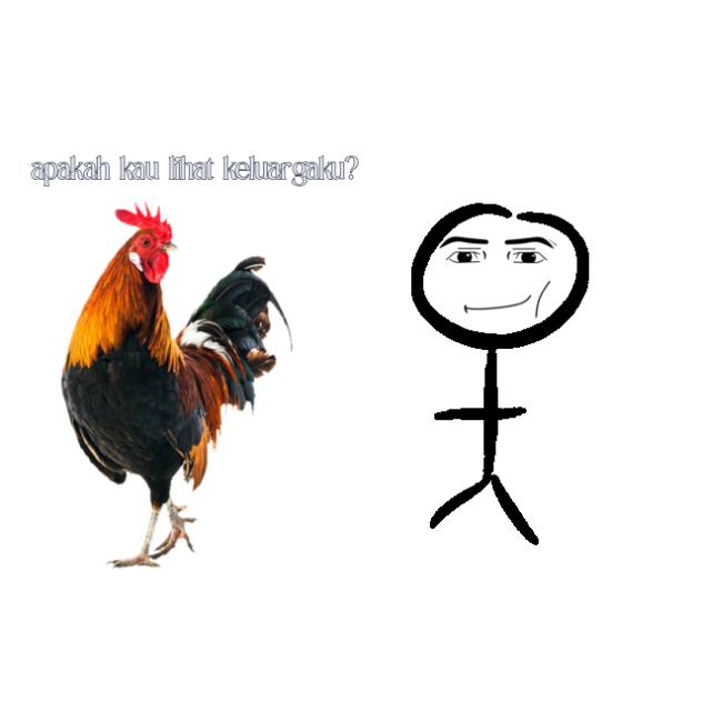 meme for my whatsapp