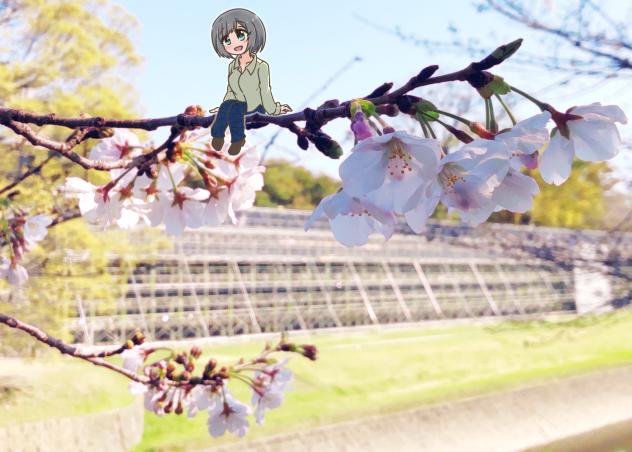 Blooming Line 45-02 扉絵