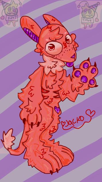 Jacko the Donkey rabbitt