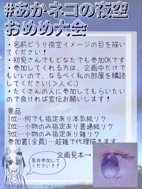 あかネコの夜空おめめ大会