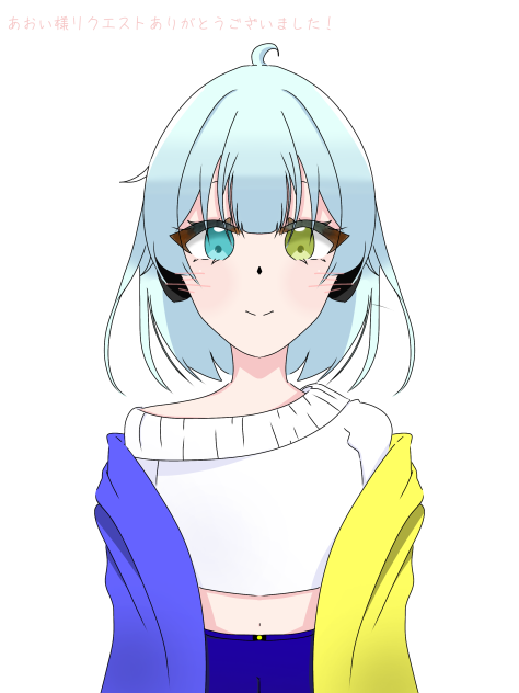 A o i ドールちゃんの里親ページ リクエストあおい様用頁 A o i ドールちゃんの里親ページ Aoi ドール