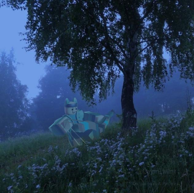 Slingshot is Every where Day #1