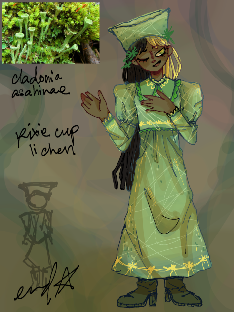 funguary 2023 day2; pixie cup lichen