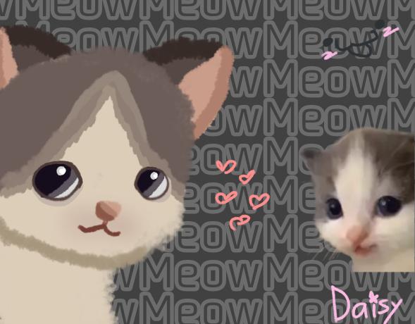 Kitteh 💖
