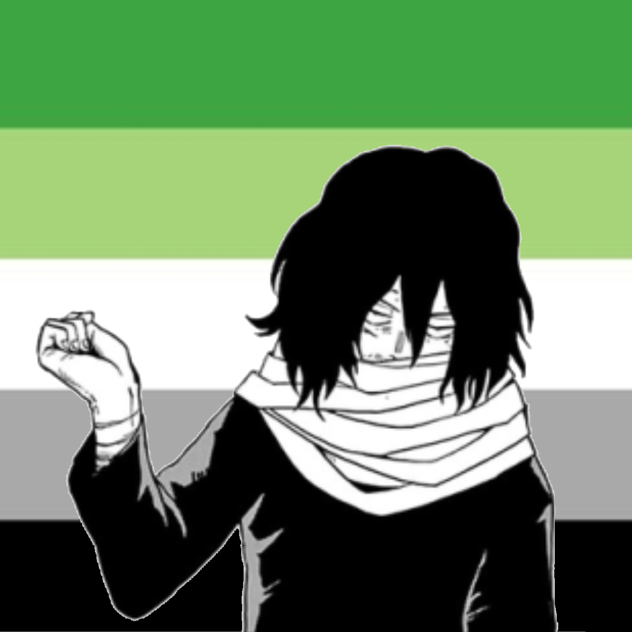 🐈‍⬛ Shouta Aizawa Pride pfp for LoOny