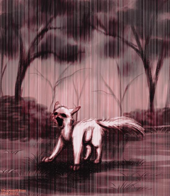 Cry