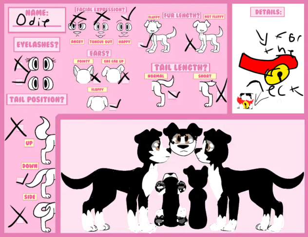 How my cutsome I will want