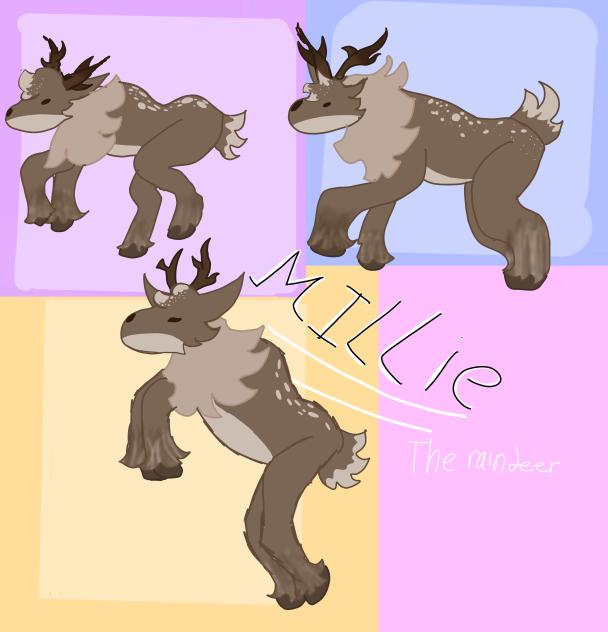 Millie my raindeer