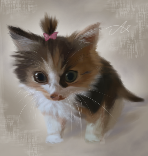 🐱🎀