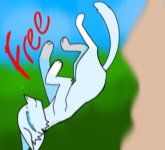 Free