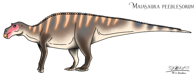 Maiasaura peeblesorum