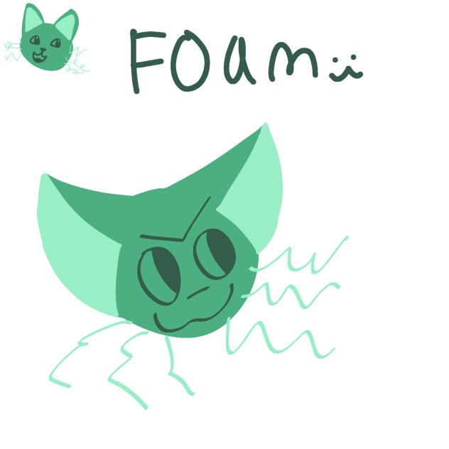 Foam!