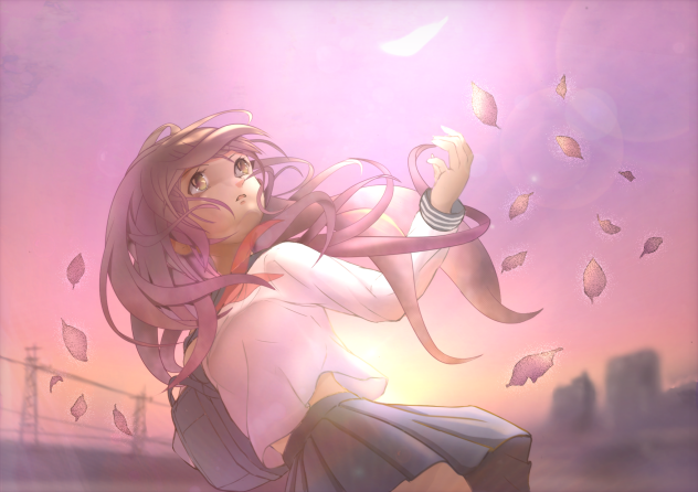 Leaves in the autumn breeze