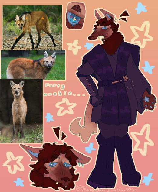 FURRY ANAKIN!!!