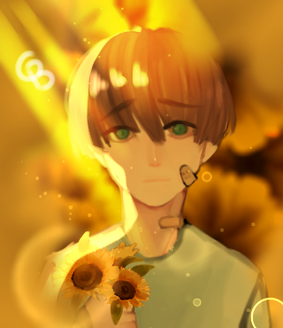 The sun light
