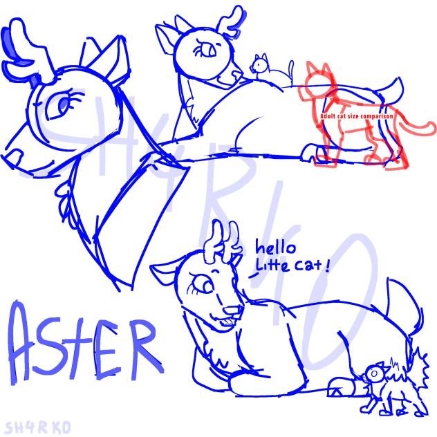 Aster doodles, ik how to draw deer maybe