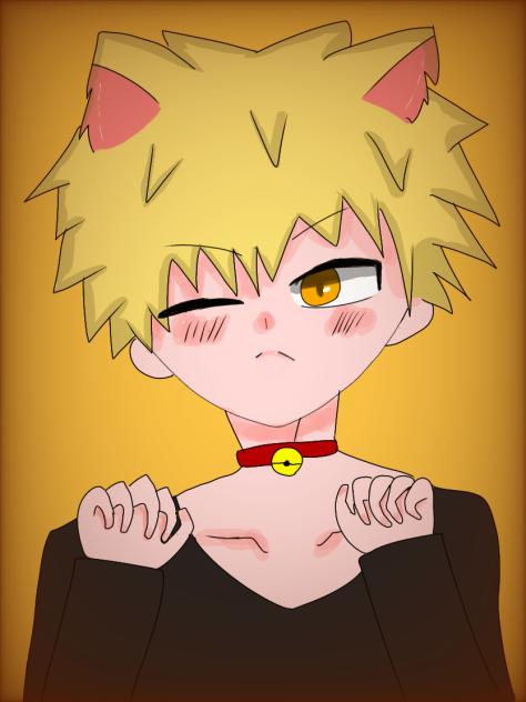 猫かっちゃん！