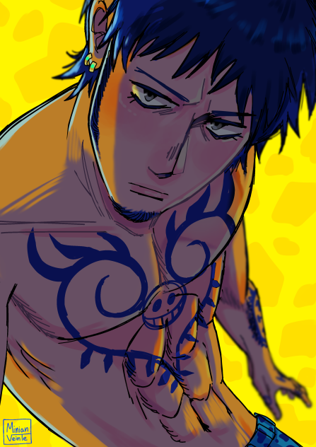 Trafalgar D. Law1