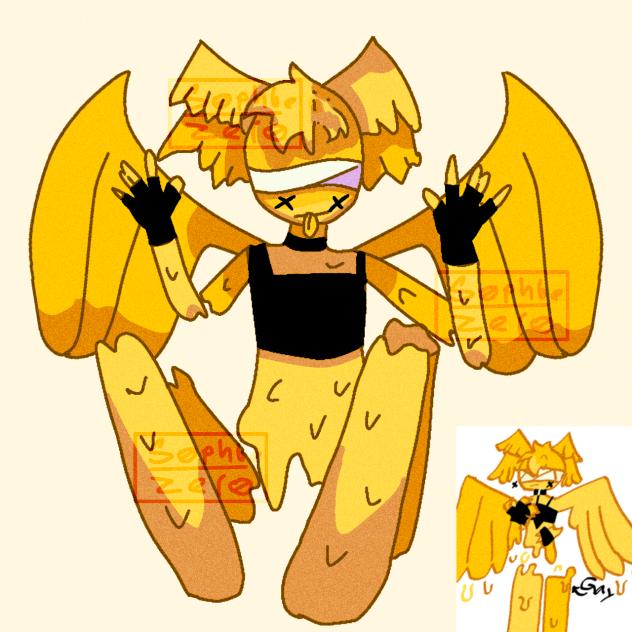 Xavier (req5)