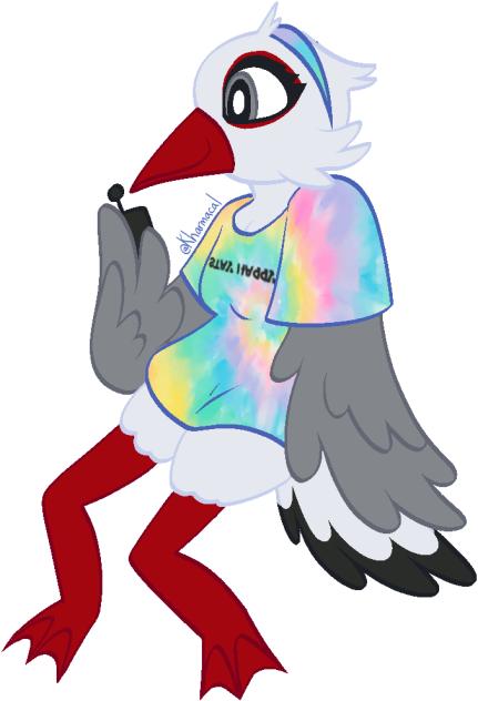 Random seagull lady