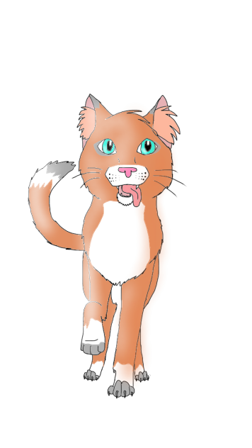 Dogpelt (a Warrior Cats OC)