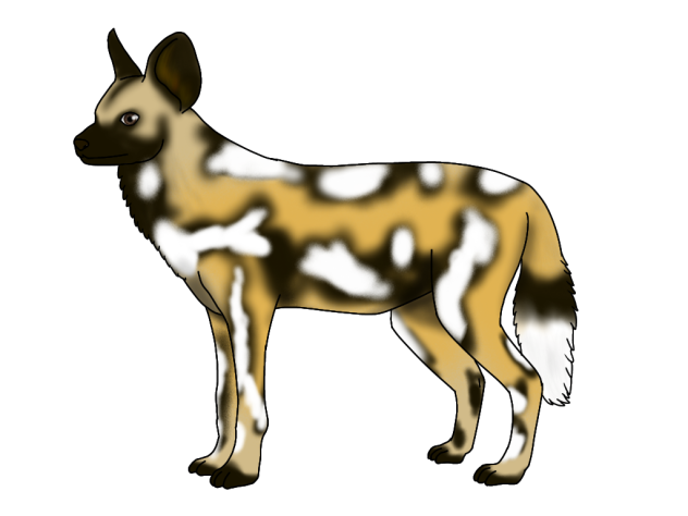 African Wild Dog render