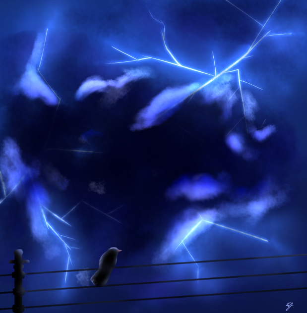 thunder and birb