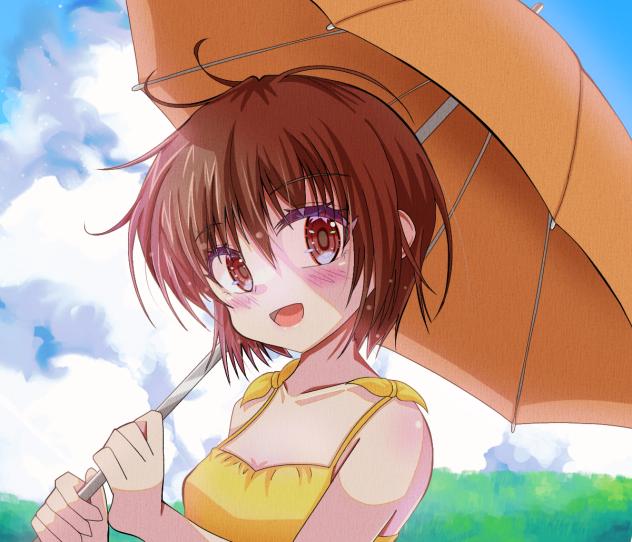 Mamoru 2024