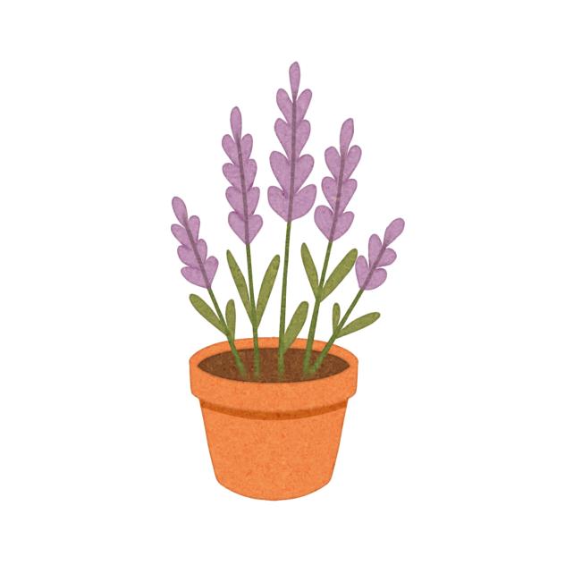 Lavender pot sticker
