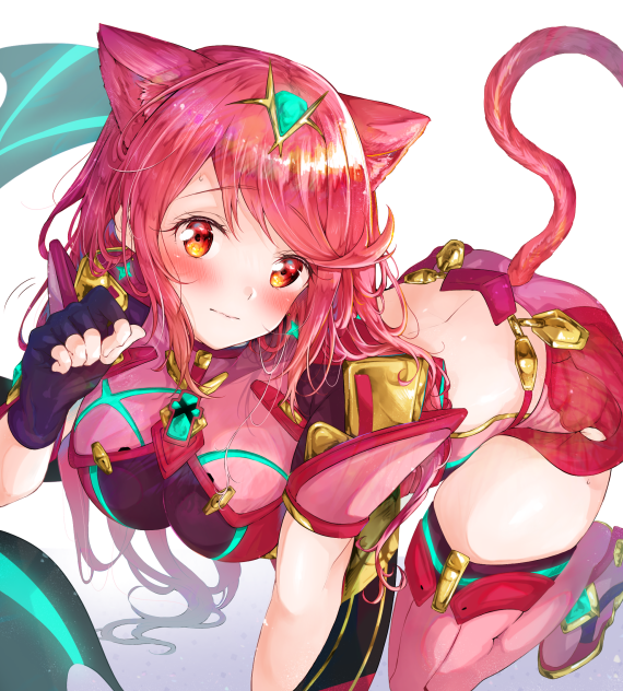 猫ホムラさん