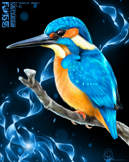 Kingfisher