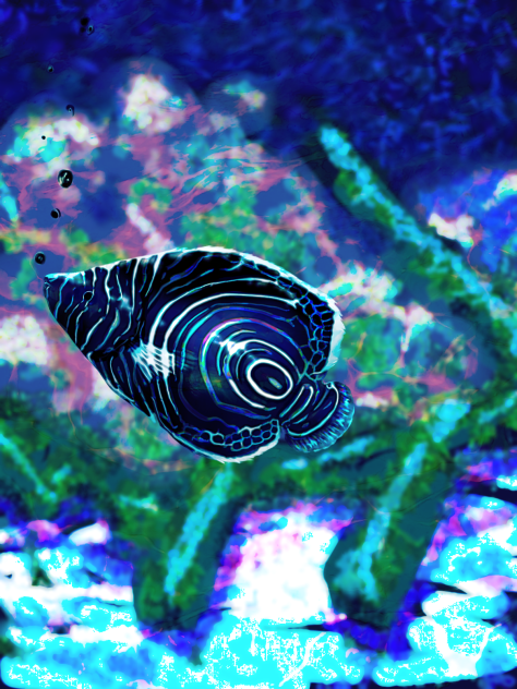 momentary