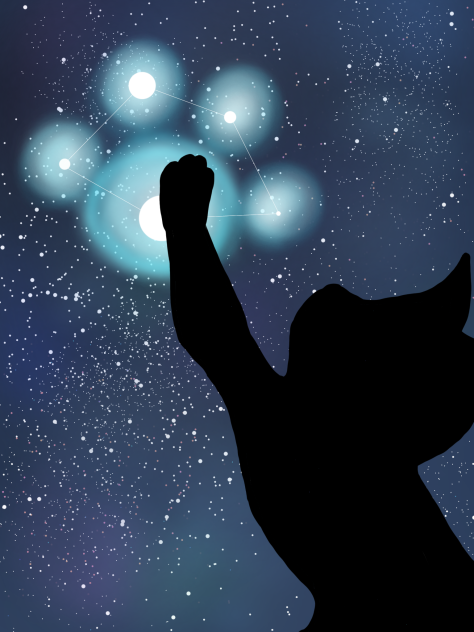 猫の日、0時の魔法　-再会-